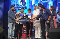 Businessman Movie Audio Launch